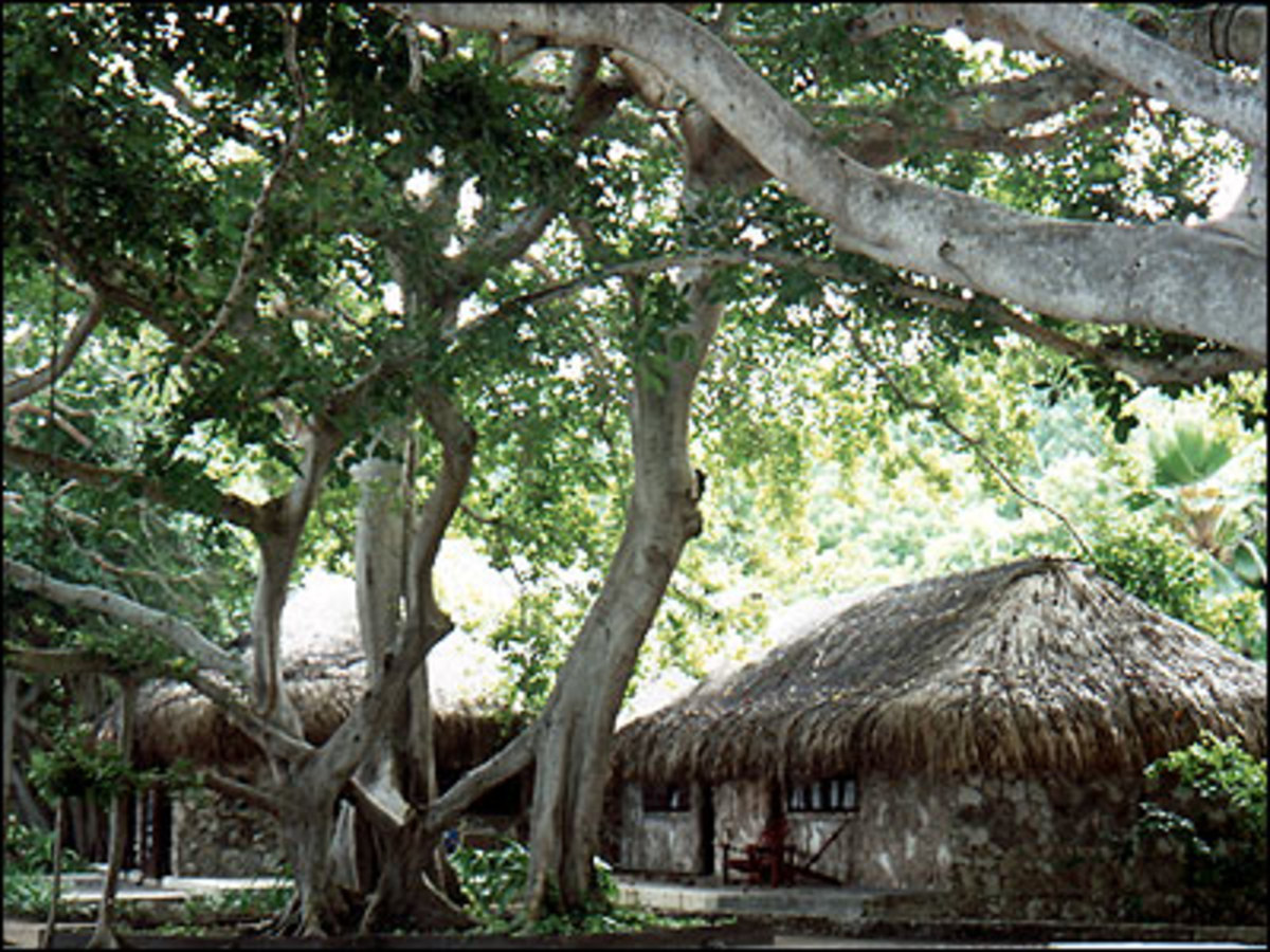 06_colombia_01.jpg